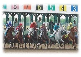 Starting Gate Image